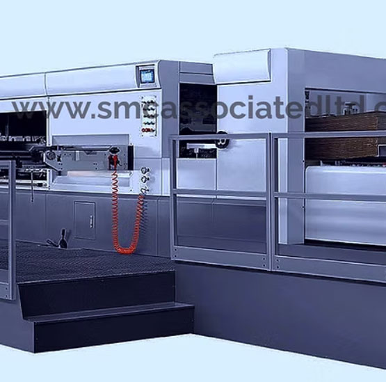 Lead edge flat die cutting machine